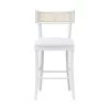 Worlds Away Klismos Counter Stool With Cane Detail In Matte White Lacquer 2 Worlds Away Klismos Counter Stool With Cane Detail In Matte White Lacquer -Professional Furniture And Kitchen Supplies Store BRITTA CS WH 1