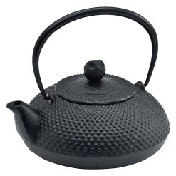 Ikenaga Nambu Cast Iron Tetsubin Kettle Houju