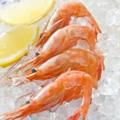 Swan Aluminium Manual Ice Crusher White -Professional Furniture And Kitchen Supplies Store SwanAluminiumManualIceCrusher 3