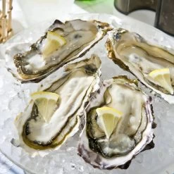 Swan Aluminium Manual Ice Crusher -Professional Furniture And Kitchen Supplies Store SwanAluminiumManualIceCrusher 4 c19e3ab1 364e 4552 94fb f79454a500a4