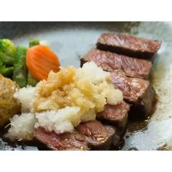 Nonoji ABS Resin Daikon Radish Grater With Container -Professional Furniture And Kitchen Supplies Store NonojiStainlessSteelRadishGraterLDS 02 5